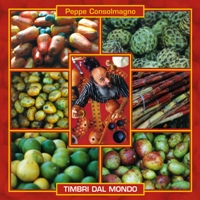 Cd Timbri dal Mondo